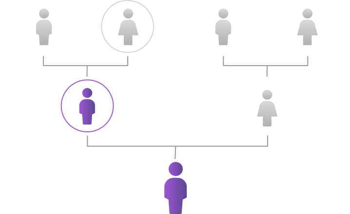 family tree