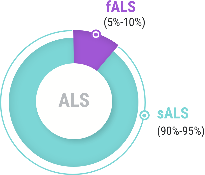 Infographic about the ALS types: sALS covers 90-95% of total and fALS covers 5-10% 